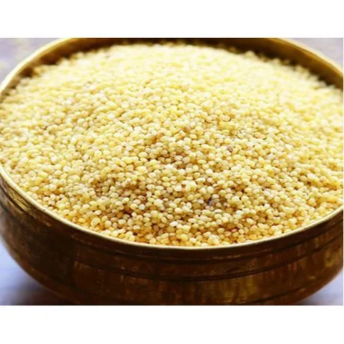 foxtail-millet-500x500 foxtail-millet-500x500
