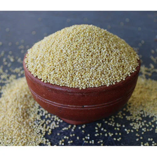 kodo-millet-rice-500x500 kodo-millet-rice-500x500